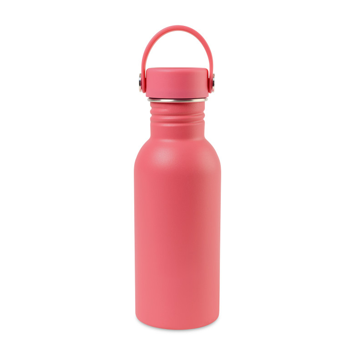 ARLO CLASSICS STAINLESS STEEL WATER BOTTLE 17oz