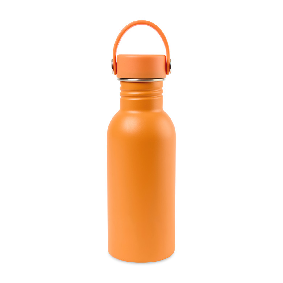 ARLO CLASSICS STAINLESS STEEL WATER BOTTLE 17oz